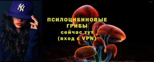 гашик Армянск