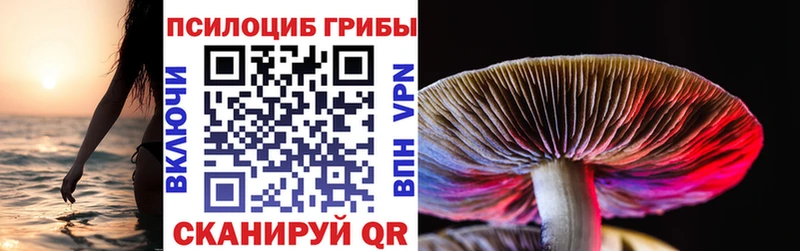 ОМГ ОМГ ссылка  где купить   Светлый  Псилоцибиновые грибы GOLDEN TEACHER 